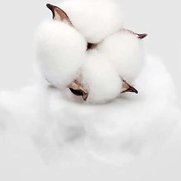 New girls dressy looking thicker pants 5-6 - Picture 2 of 4